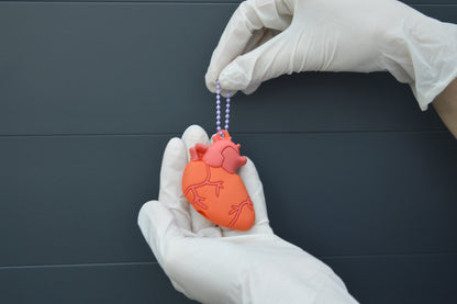 Ampulopener – Anatomisch Hart