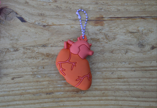 Ampulopener – Anatomisch Hart