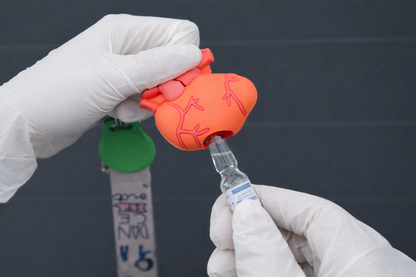 Ampulopener – Anatomisch Hart